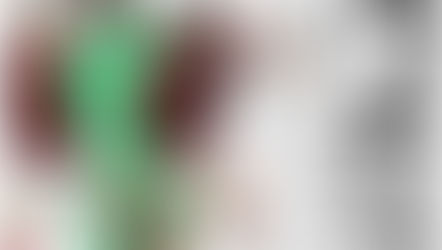 Spezia-Milan le pagelle