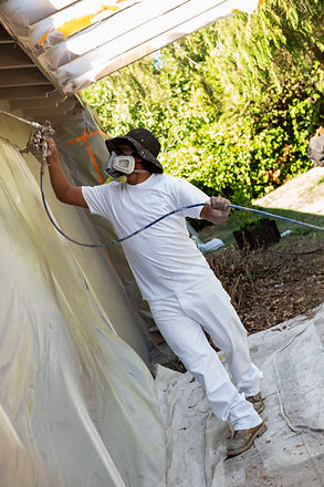 walk in spray style copy.jpg