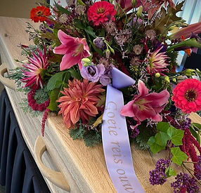 WhatsApp Image 2025-03-18 at 18.24.23 (2).jpeg