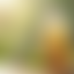 Shampoo natural para cabello graso: Guía completa