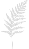Untitled design_edited.png