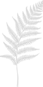 Untitled design_edited.png