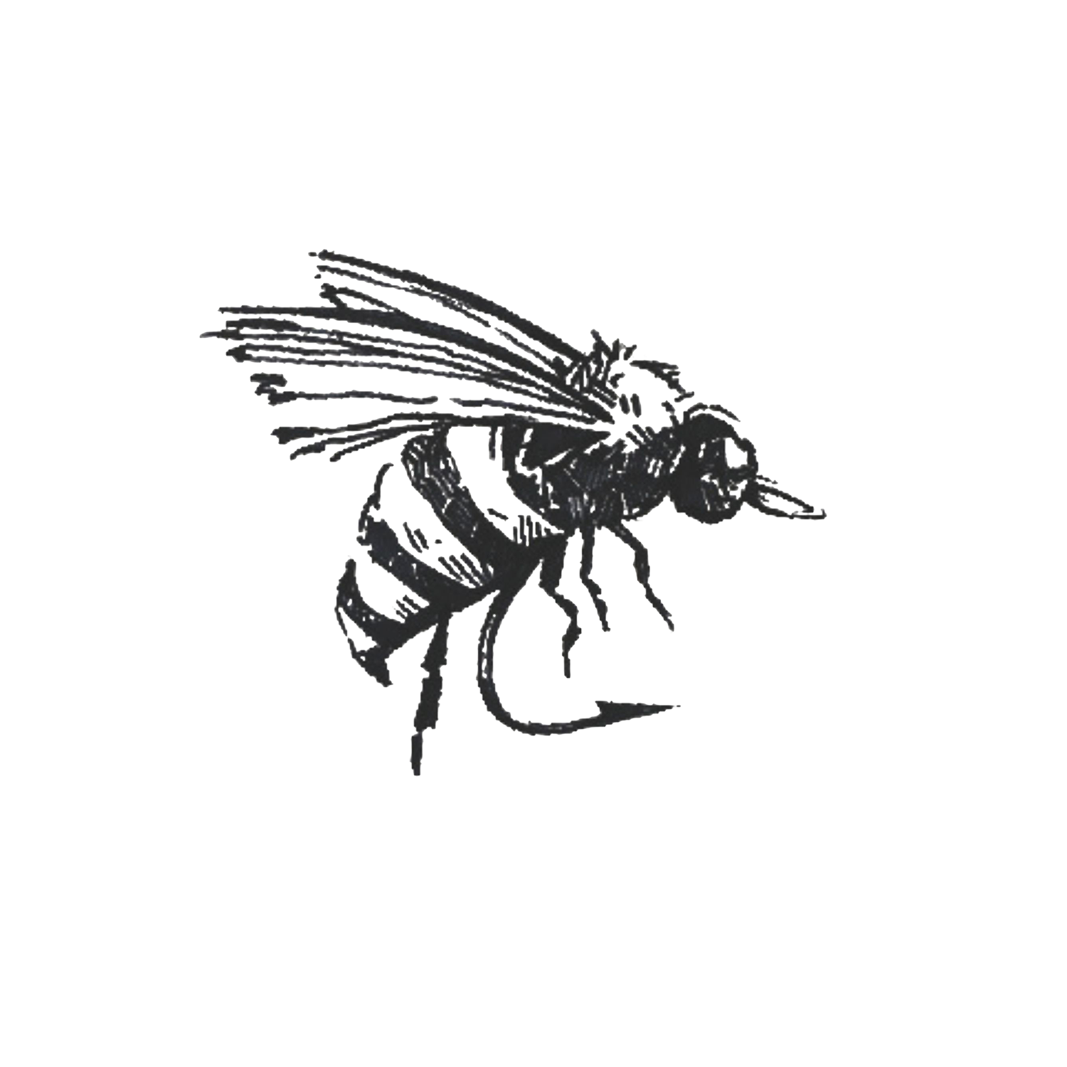 Writer: HoneyFly Co.