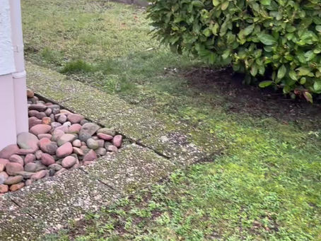 Gartenpflege in Aktion: Qorraj Hausmeister Dienstleistungen bei der Arbeit