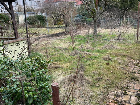 Eine wahre Transformation: Grundstückspflege