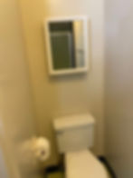A compact bathroom features a neatly framed mirror reflecting a glimpse of the shower, with a toilet and toilet paper holder completing the functional space.