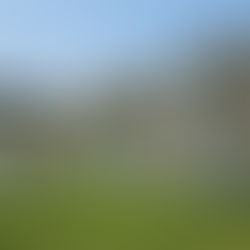 Cloth Diapers: How do I choose?