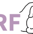logo-main_edited.png