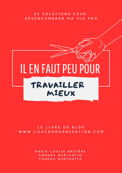 Auteurs "Il en faut peu pour travailler mieux. 25 solutions pour désencombrer ma vie pro."