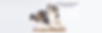 Slideshow_Mensch-Hund-Team-Ausbildung.png