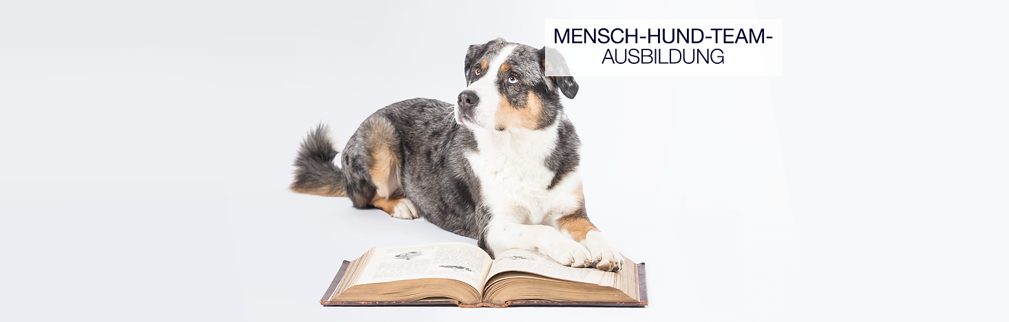 Slideshow_Mensch-Hund-Team-Ausbildung.png