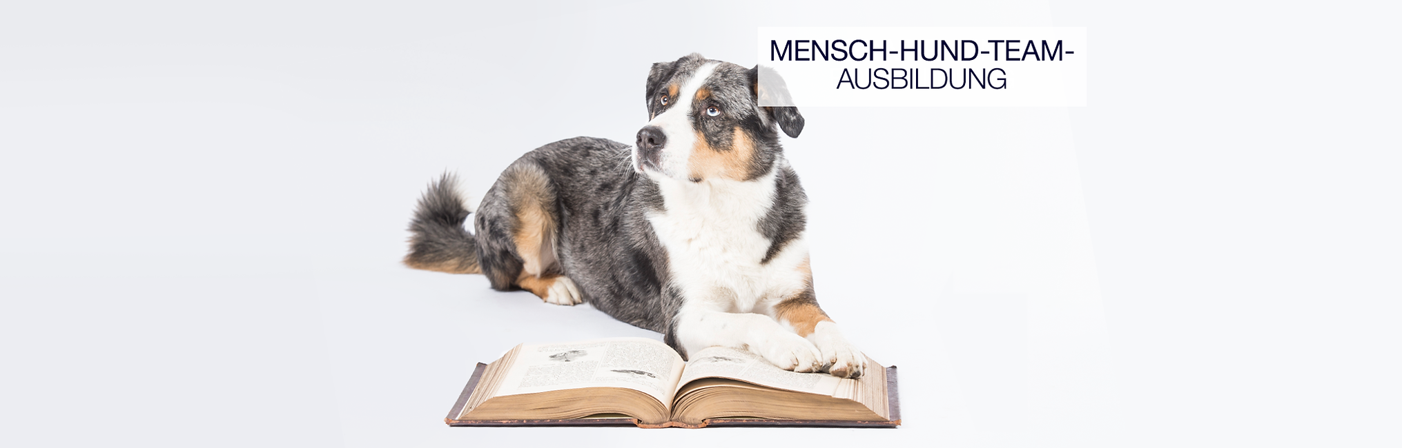 Slideshow_Mensch-Hund-Team-Ausbildung.png