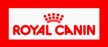 a logo tipo.PNG