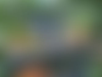Pflanztisch für den Garten - Ein Projekt mit wolfcraft