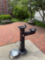 Clark Point drinking fountain