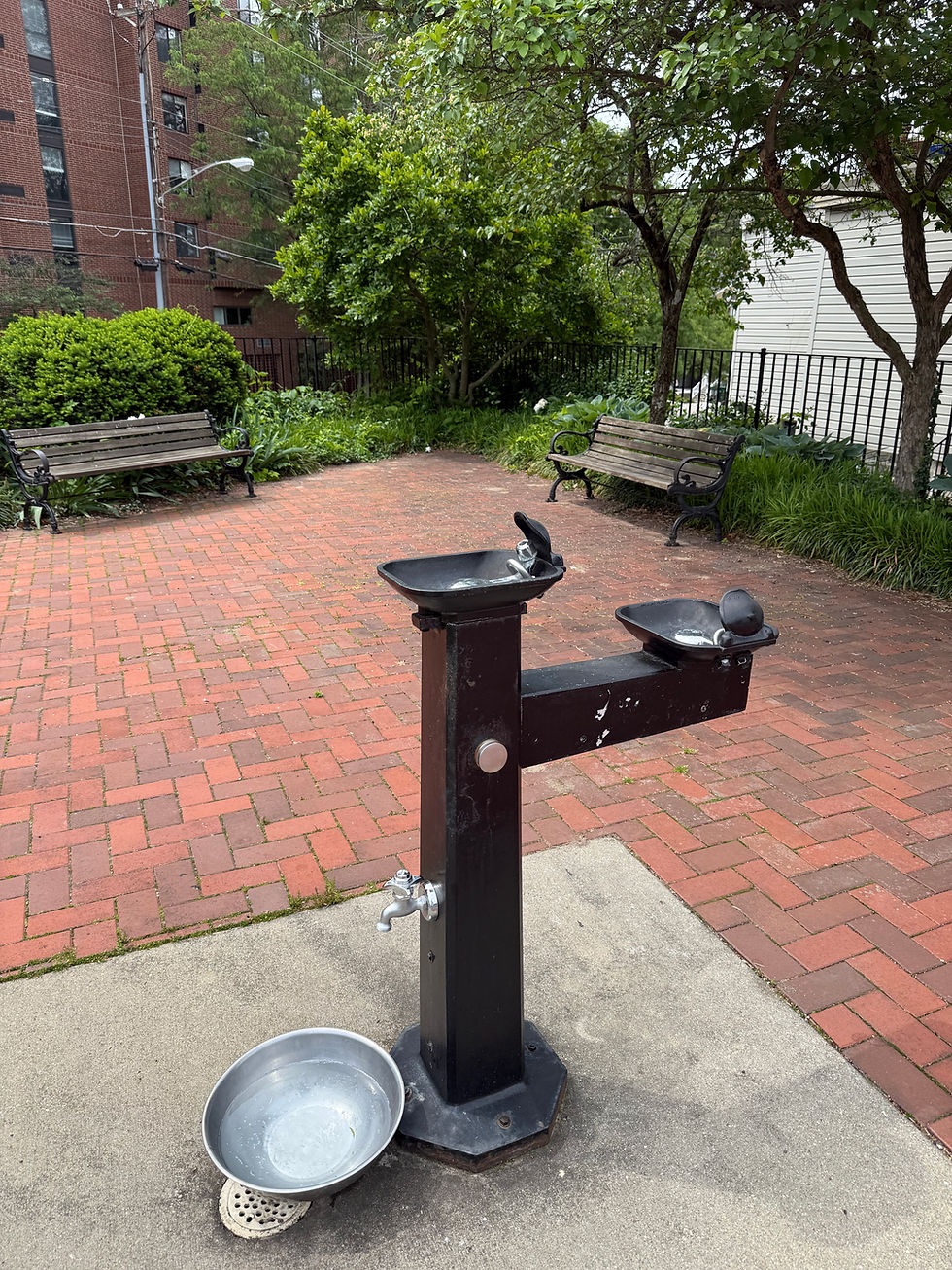 Clark Point drinking fountain