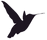 Kolibri