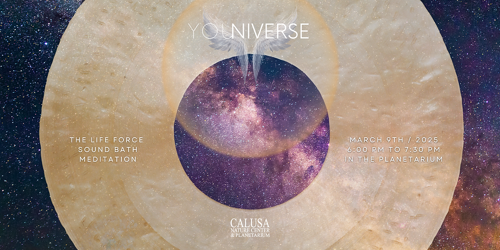 YOUniverse / The 90-Minute Life Force Sound Bath Meditation Experience