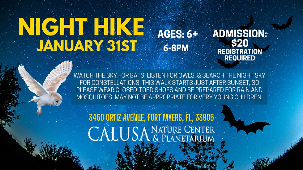 Night Hike - January 31st