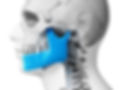 maxilofacial.jpg