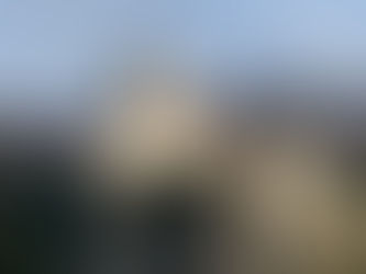 Rhine vs. Danube: A First-timers Guide to Choosing 