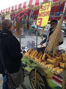 IMG_2413.jpg