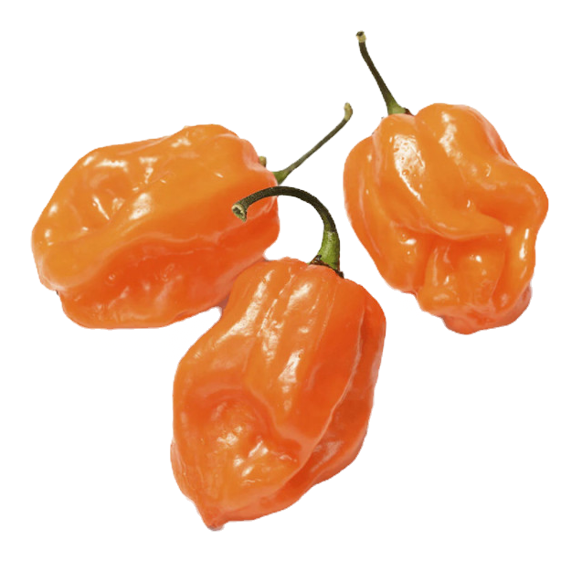 habanero-peppers-chile-habanero-1-lb_edited.png