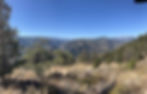 Cooper background.jpg