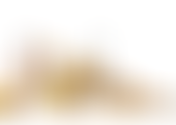 November 21, 2025 - Surjan Super School Weekly Newsletter - PART 4_SPECIAL EDITION