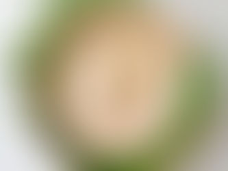 What European Retail Customers Look for in Eco Tableware (2025 Trends)