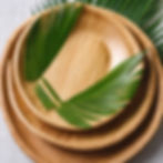 Areca Palm Leaf Plates