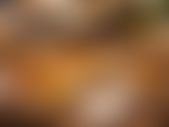 Are Areca Leaf Plates Good for Hot Food? Performance Guide for Events & Catering