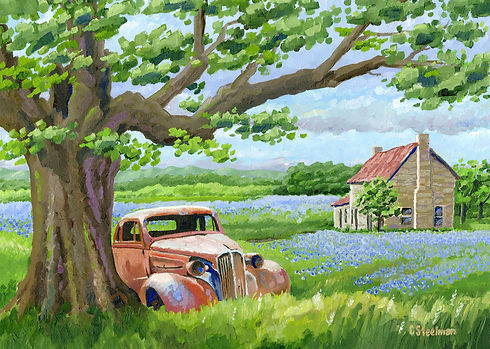 Bluebonnets.jpg