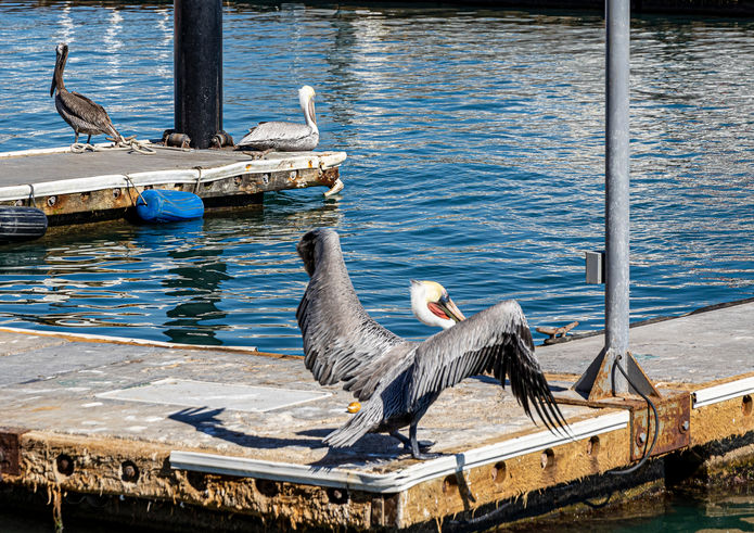Cabo San Lucas, Mexico