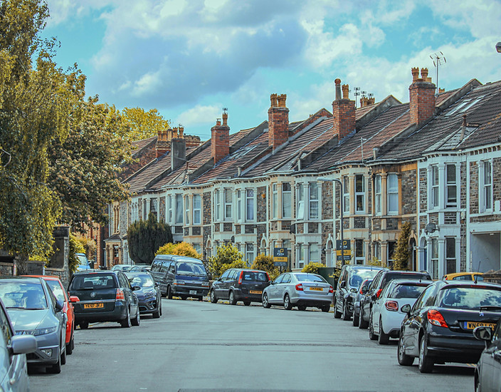 Photos by Boys in Bristol Photography-parotia properties (1).jpg
