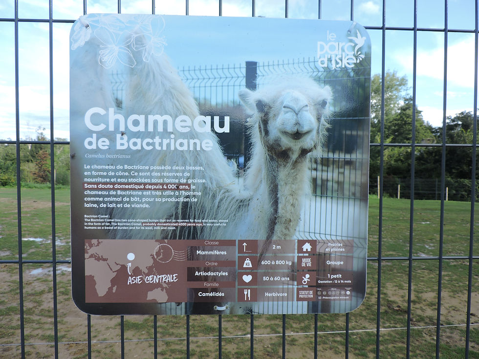 SpringBox - traduction parc animalier d'Isle
