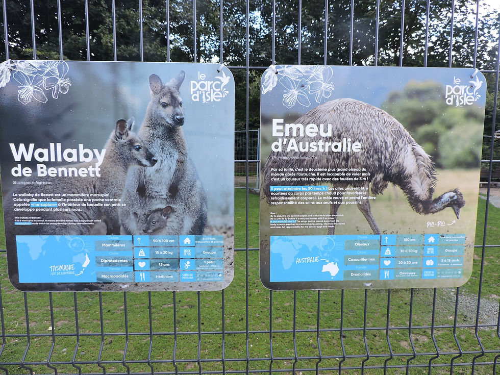 SpringBox - traduction parc animalier d'Isle