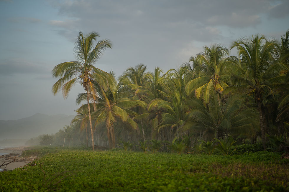 Costa Rica 1.jpeg