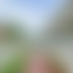 Quiet residential street in Loudon County TN with well-kept homes