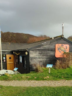 kimmeridge Bay: Wild Seas Centre