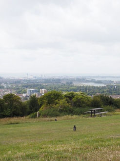 Big ol' Hill Top Viewpoint