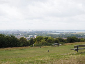 Big ol' Hill Top Viewpoint