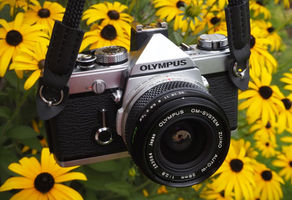 Olympus OM-1n: Classic Camera Review