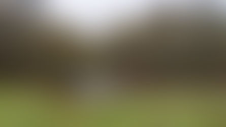 Wootton Bridge - New Forest