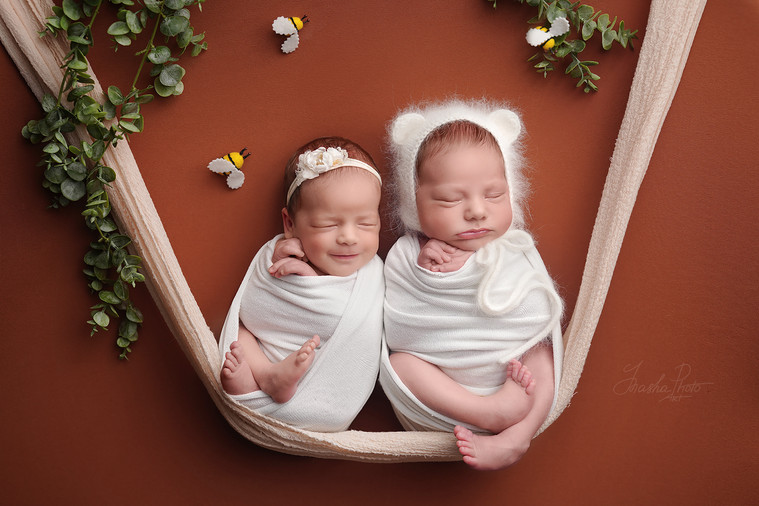 Newborn twins sleep in a hammock surrounded by leaves and decorative bees, artistic newborn photoshoot with nature theme