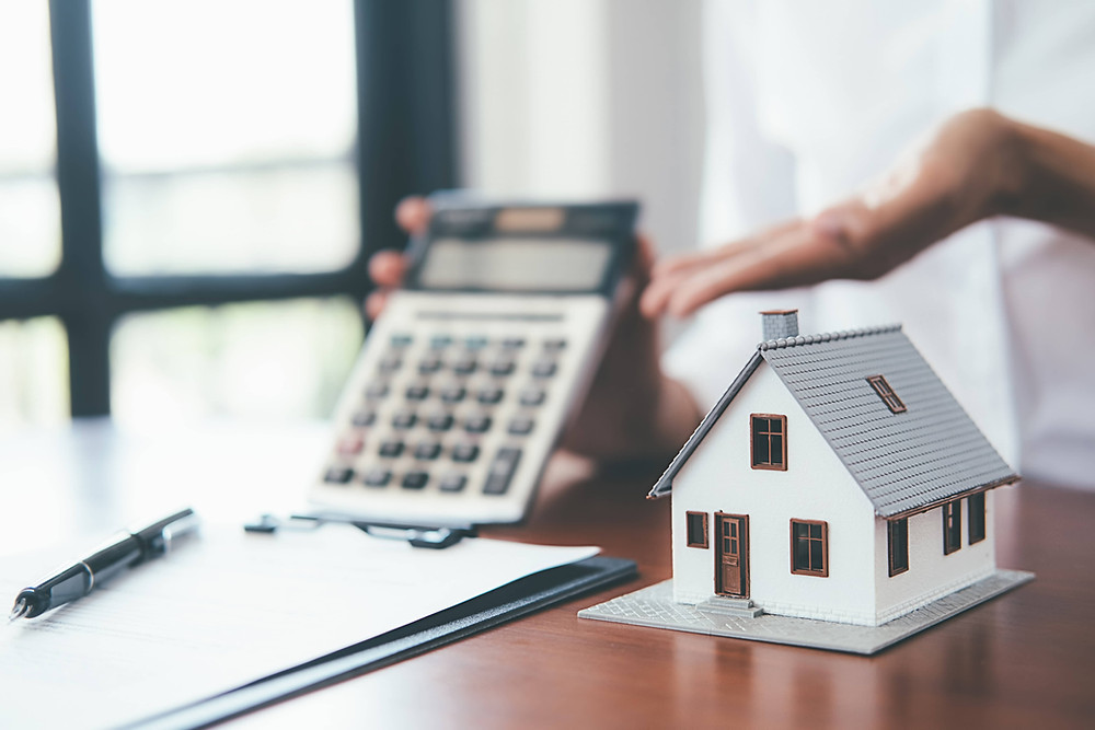 When determining your borrowing capacity for a home loan, lenders need to review your income