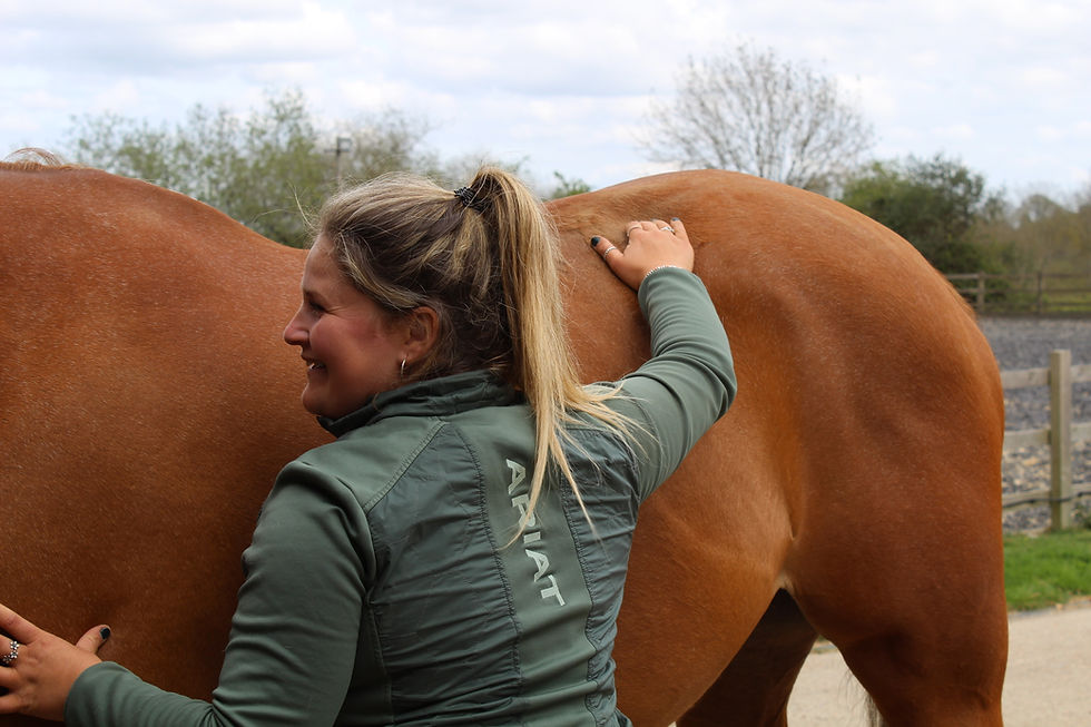 Woman in green jacket with "ARIAT" text hugs brown horse outdoors, smiling. Trees and fence in background, overcast sky.
