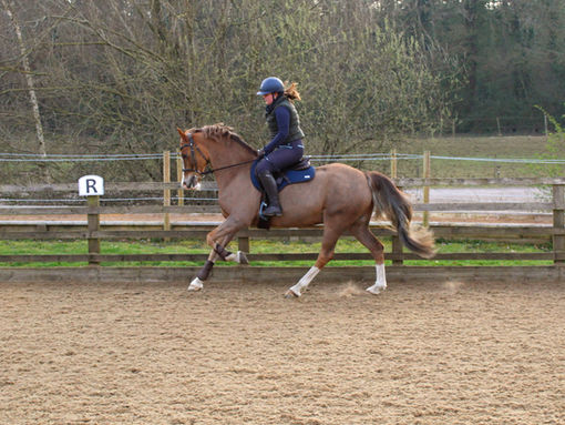 The Power of Micro-Influencers: Why Small Creators Drive Big Engagement in the Equine Industry