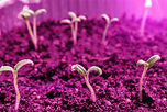 AdobeStock_259249605.jpeg