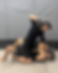 pierre-chatel-innocenti-Lk-nu_hX6ms-unsplash 2.png